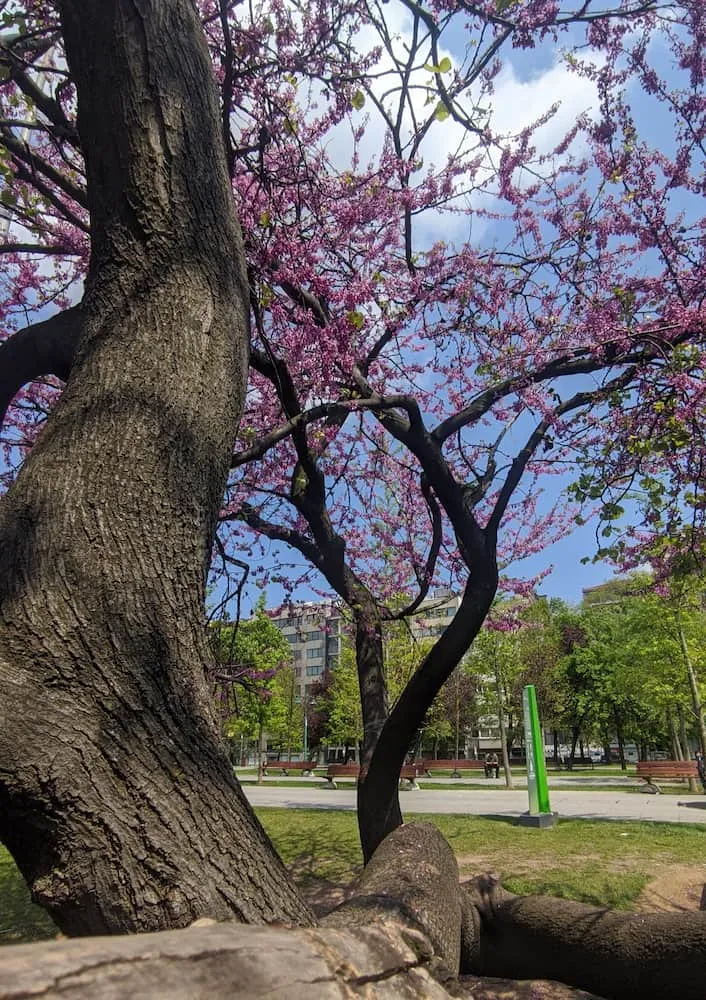 Parque Gezi