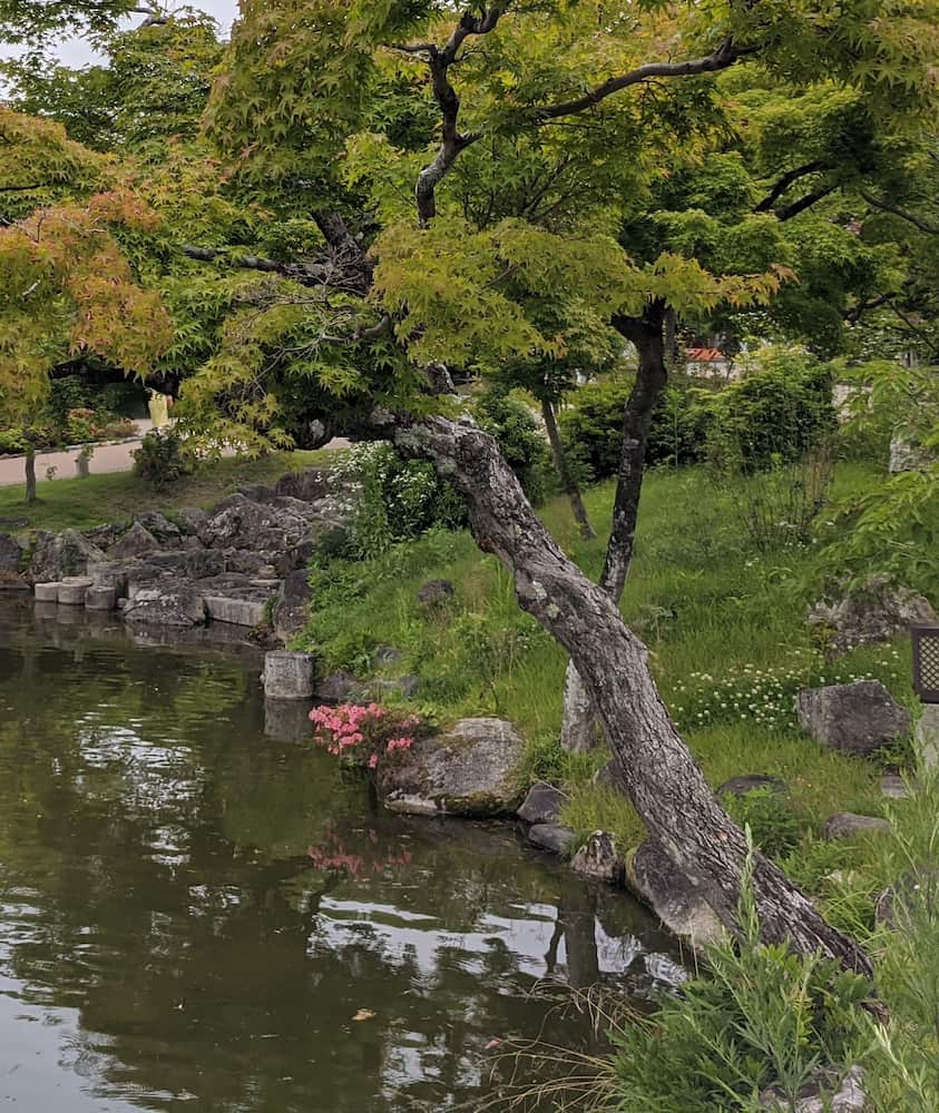 Parque Maruyama