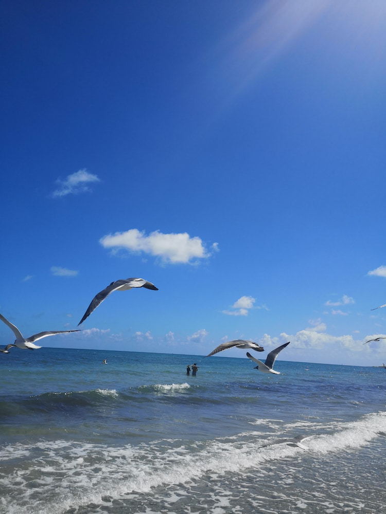 Crandon Beach