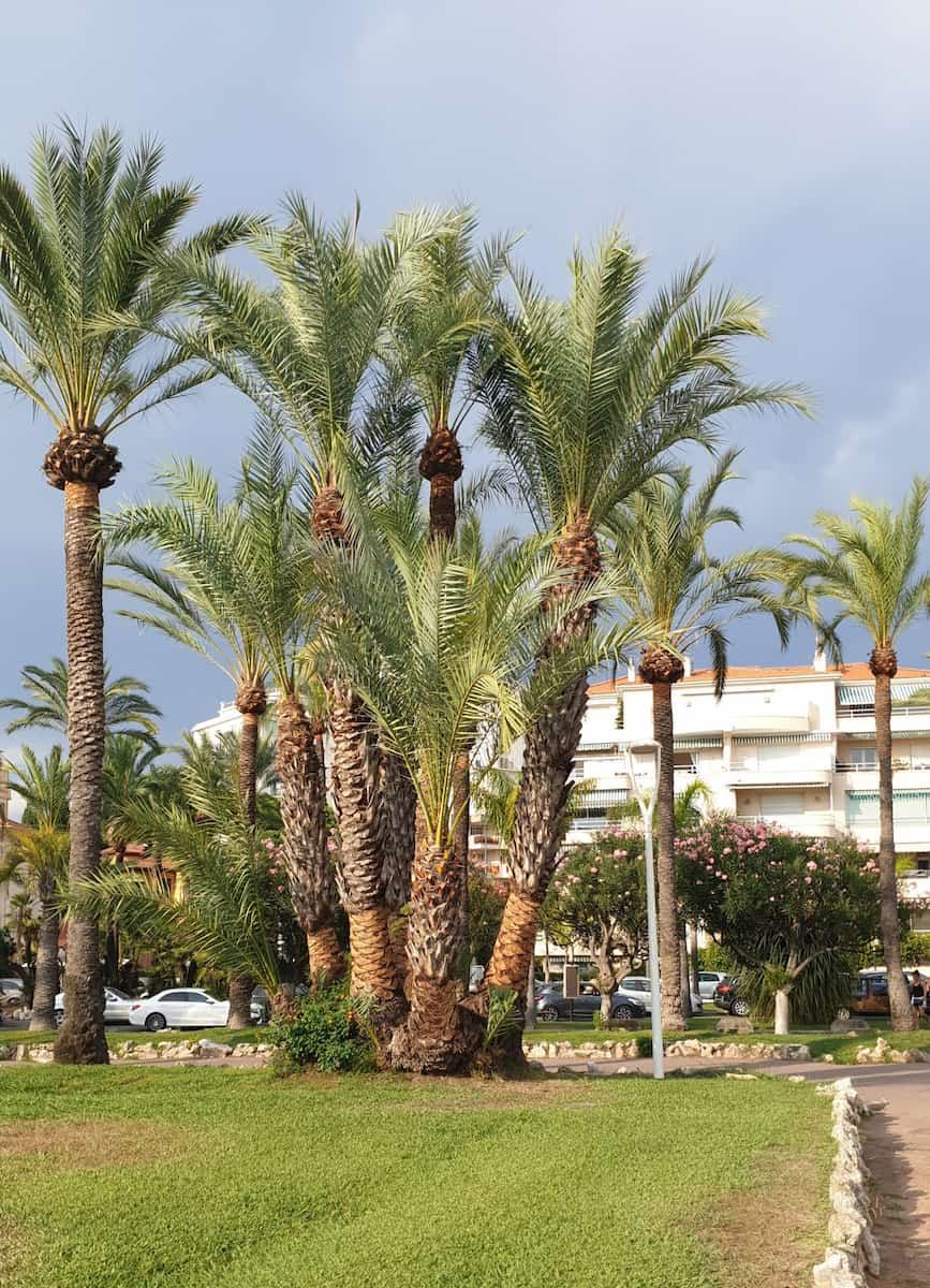 La Croisette Beach