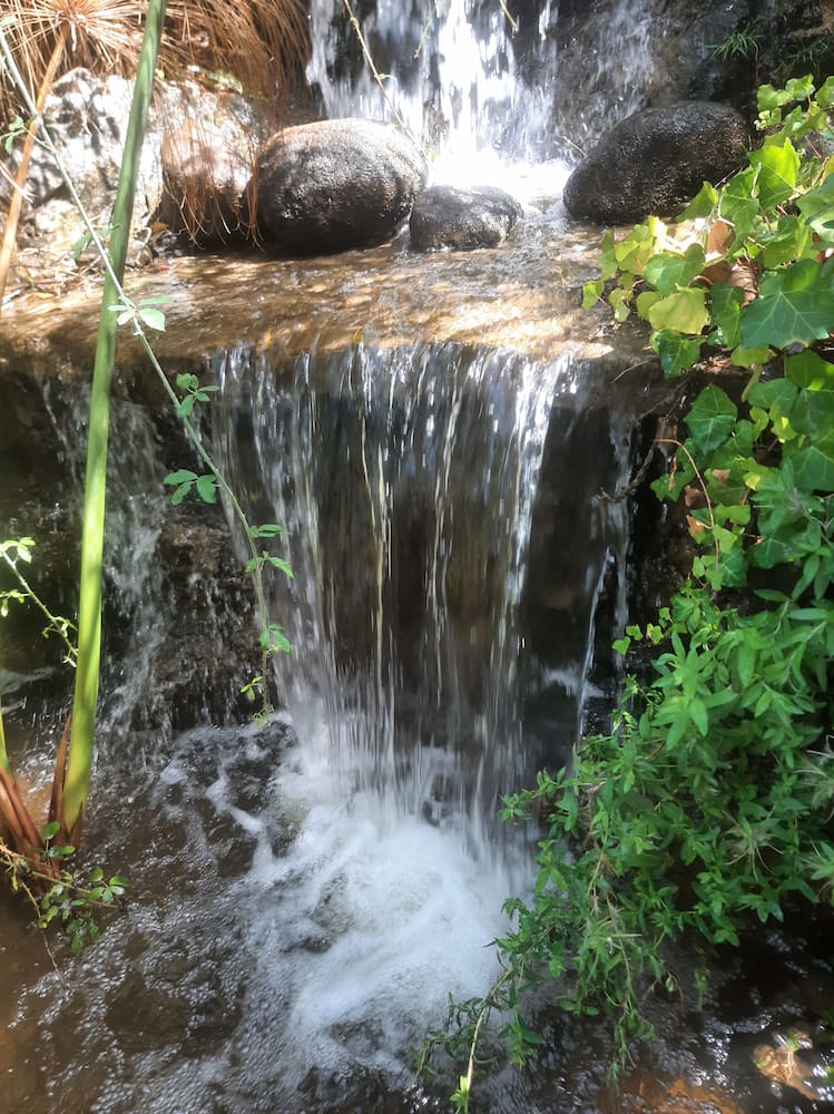 Parque Natural da Serra de Monchique