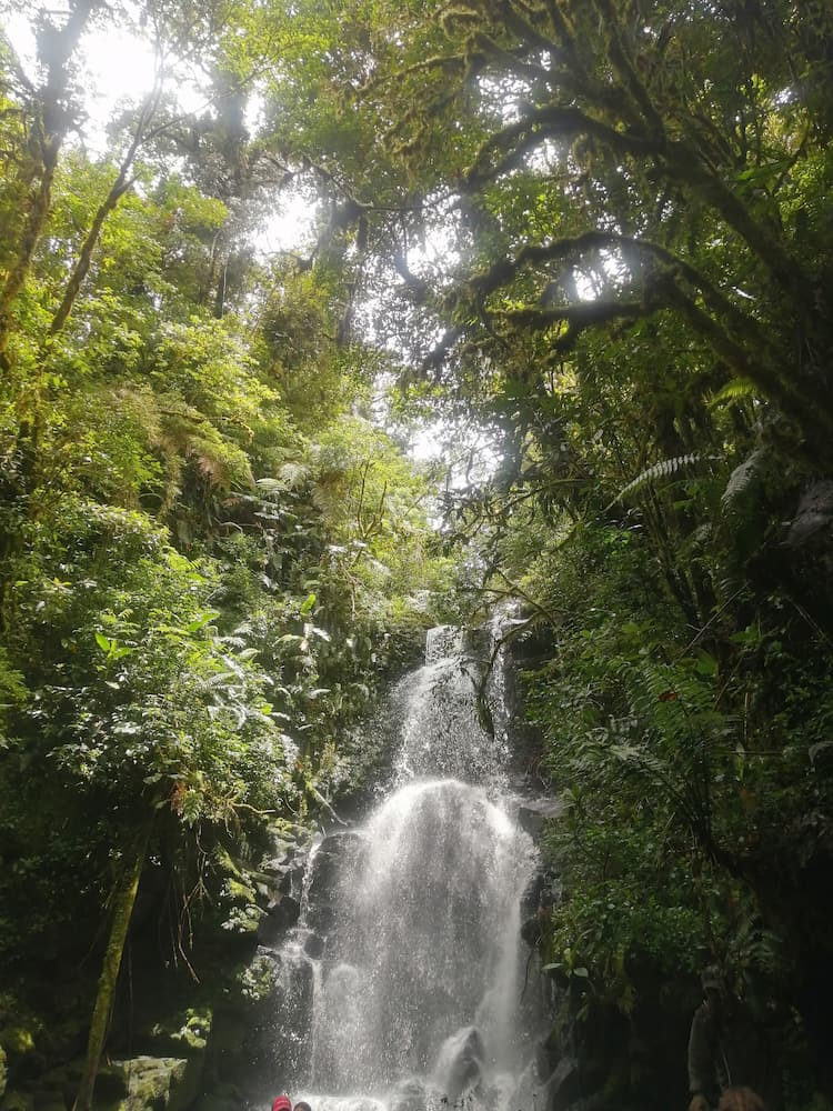 Parque Nacional Braulio Carrillo