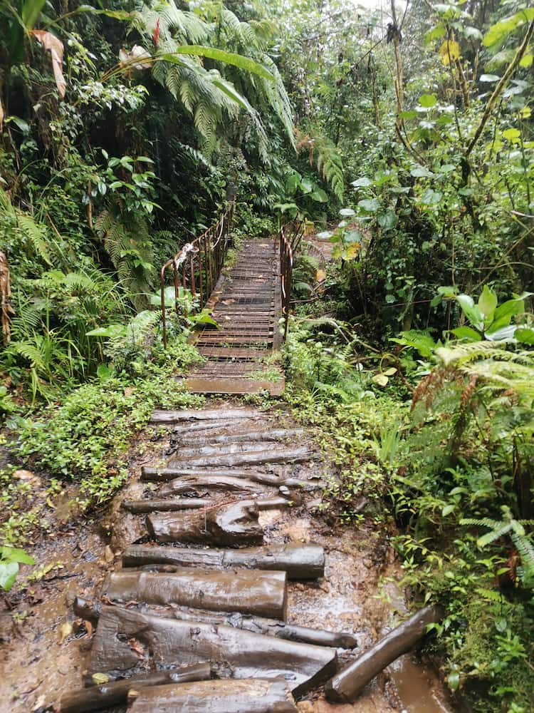 Parque Nacional Braulio Carrillo