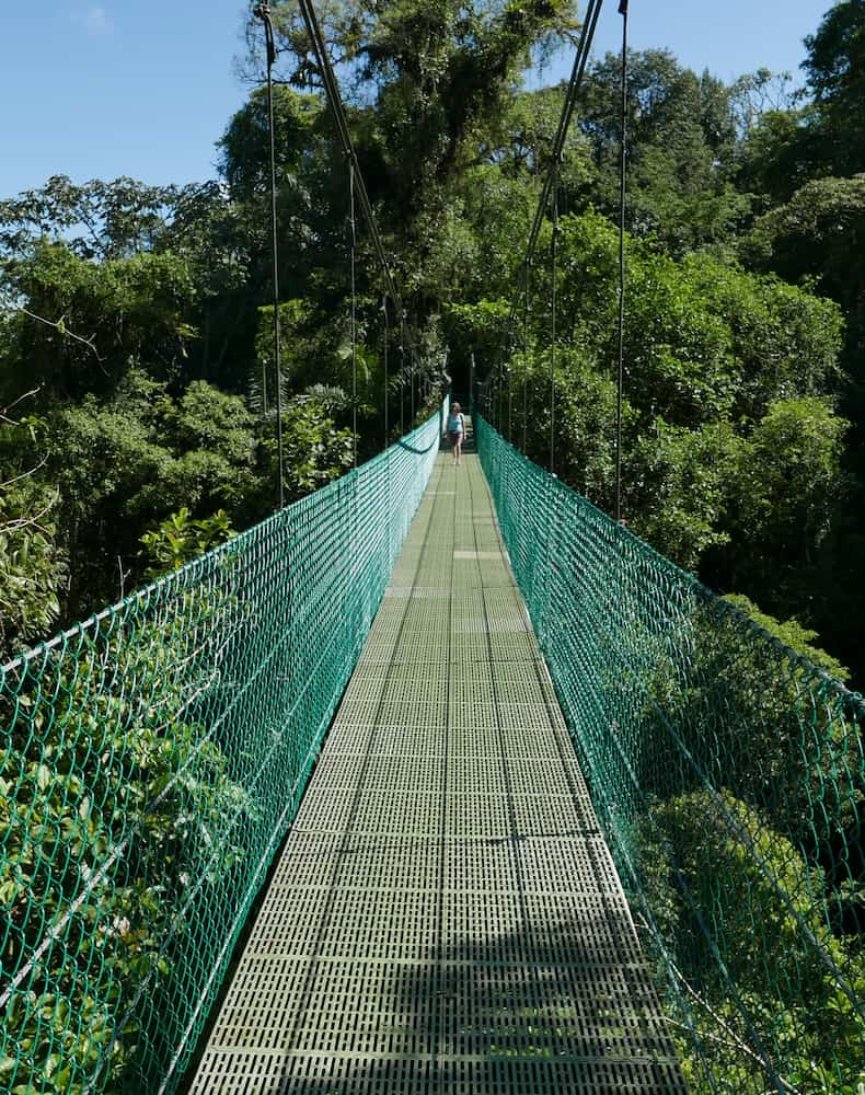 Pontes suspensas