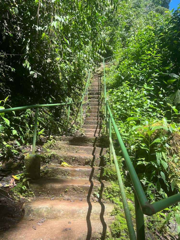 Trilhas para caminhadas