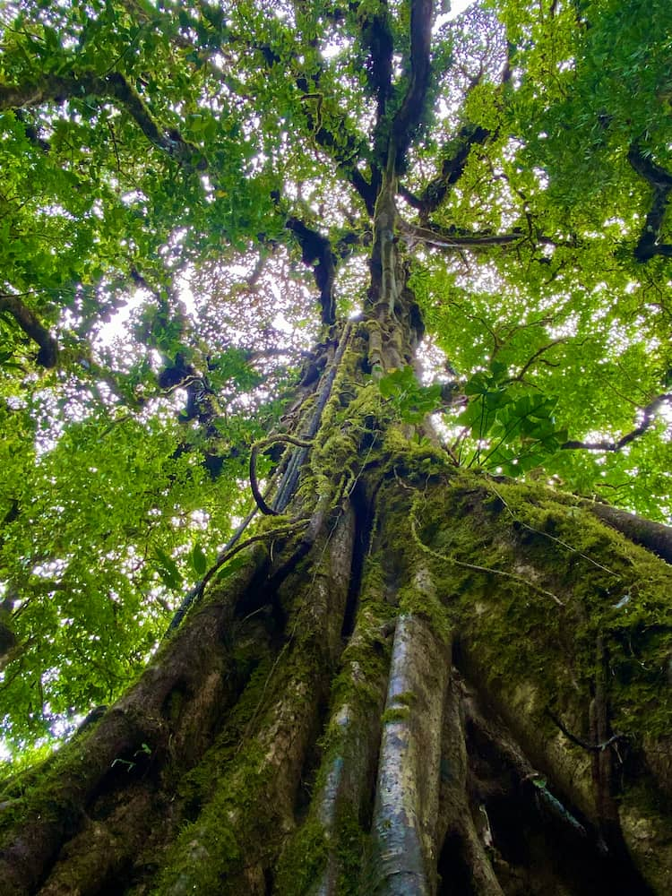 Monteverde, Costa Rica