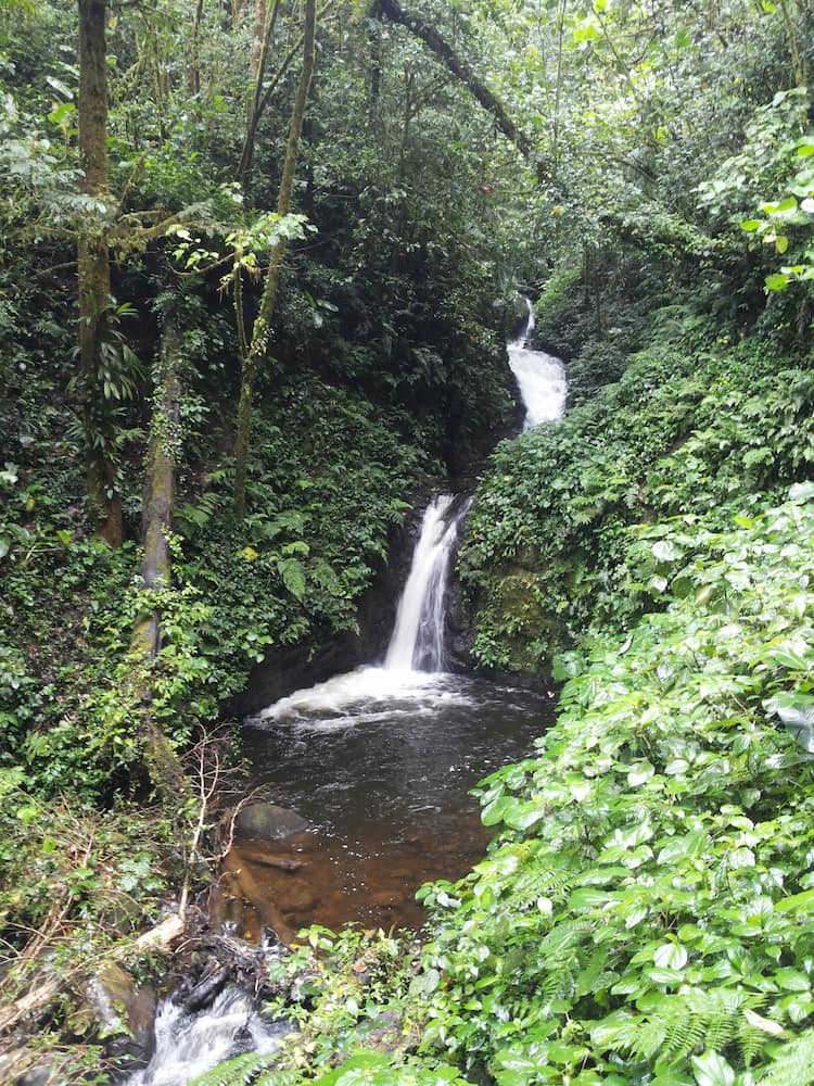 Monteverde, Costa Rica