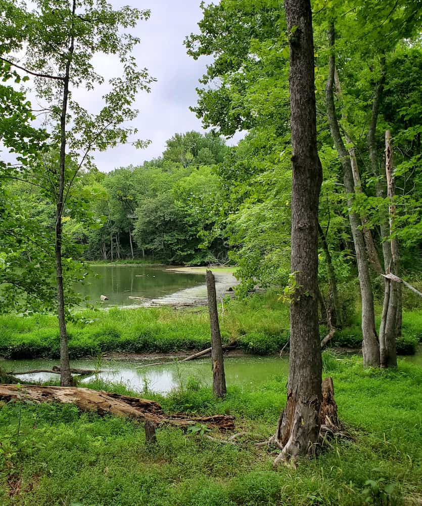 Radnor Lake State Park