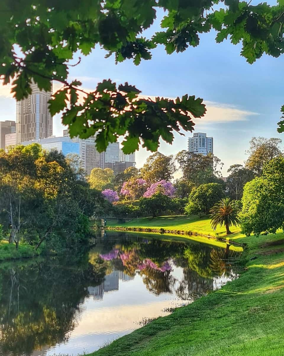 Parramatta Park, Cairns