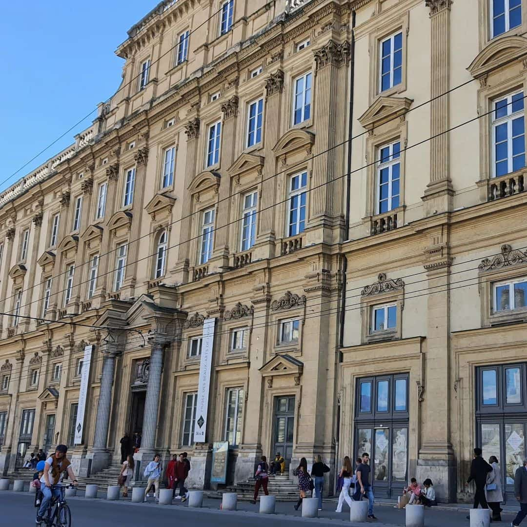 Museum of Fine Arts of Lyon