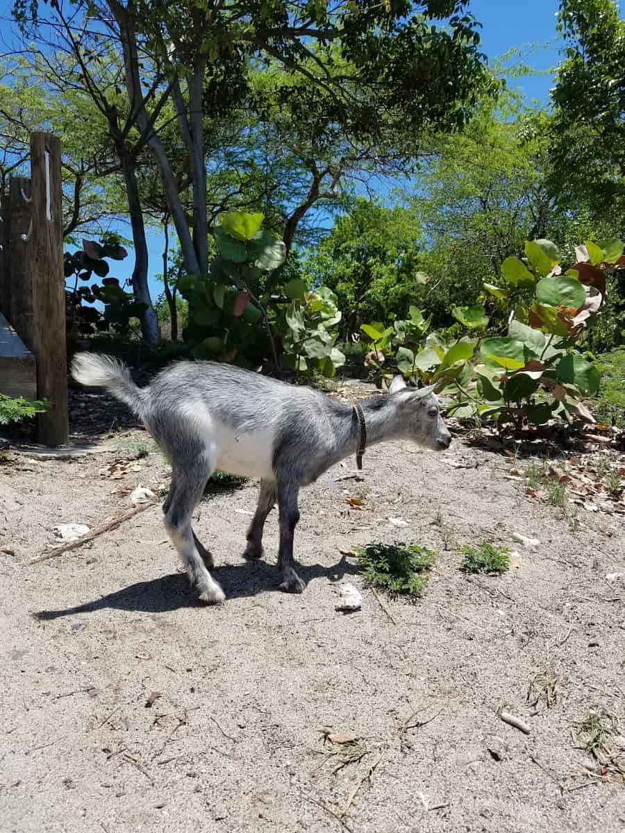 Culebra, Porto Rico