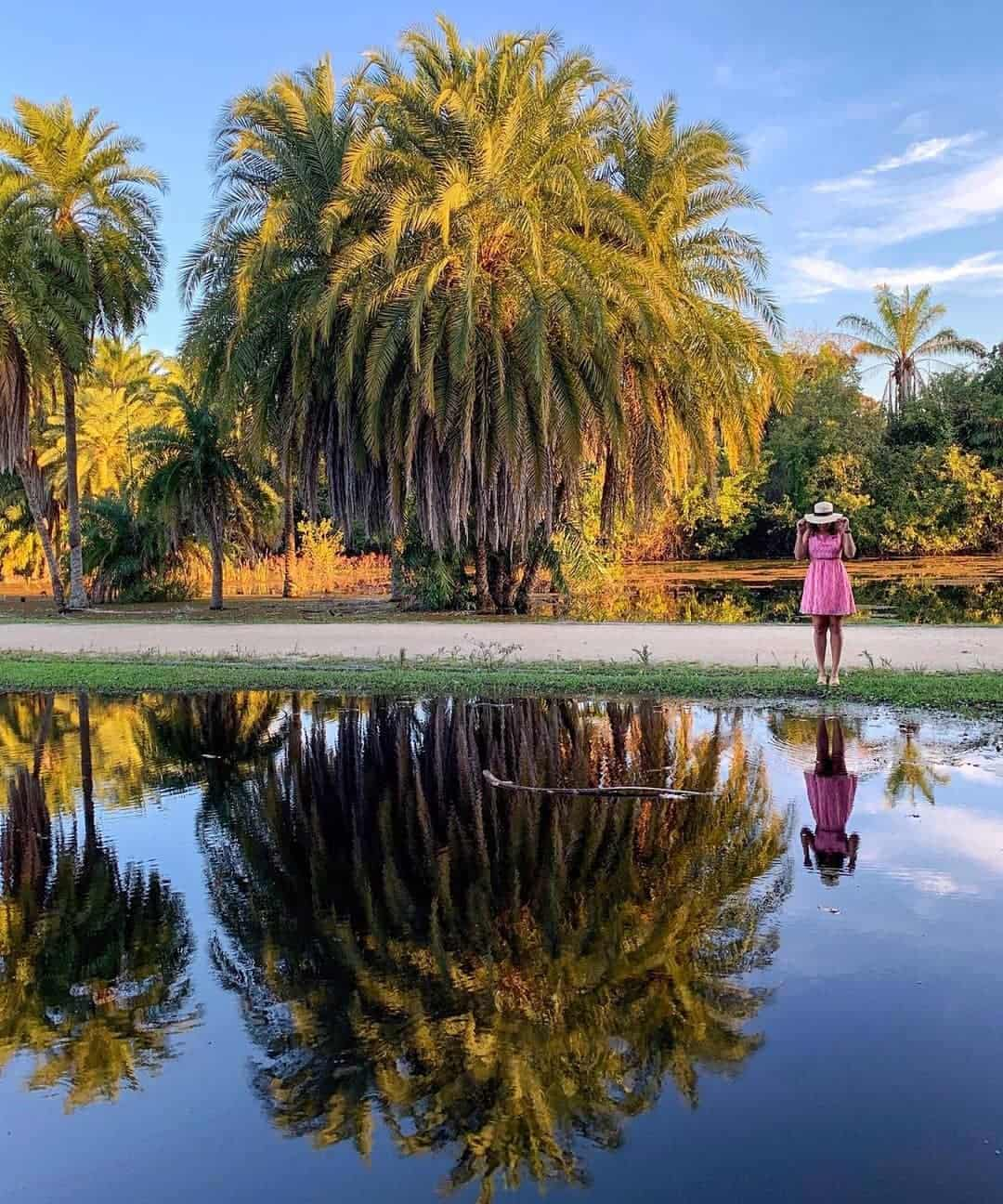 Bosque da Barra