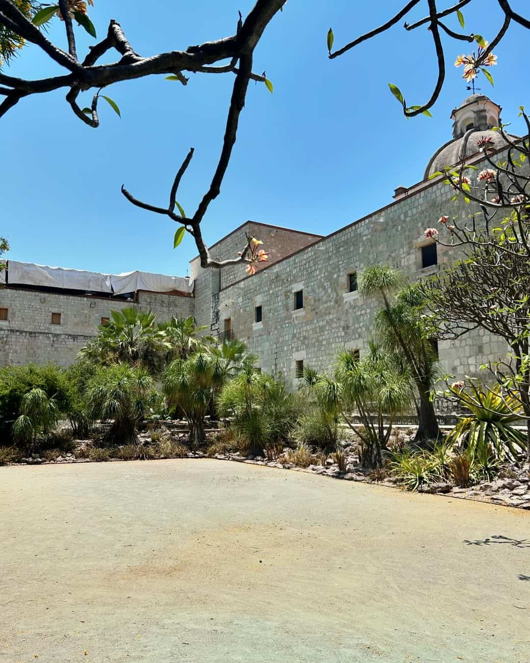 Ethnobotanical Garden, Oaxaca