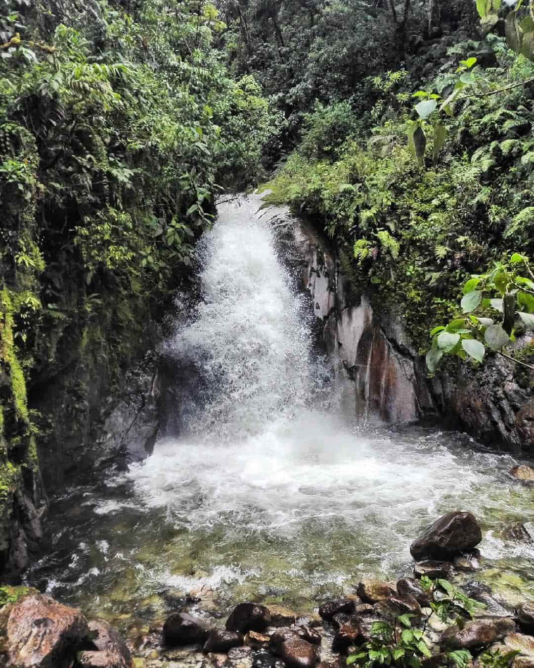 Catarata De Mandor Waterfalls, Machu Picchu, Peru