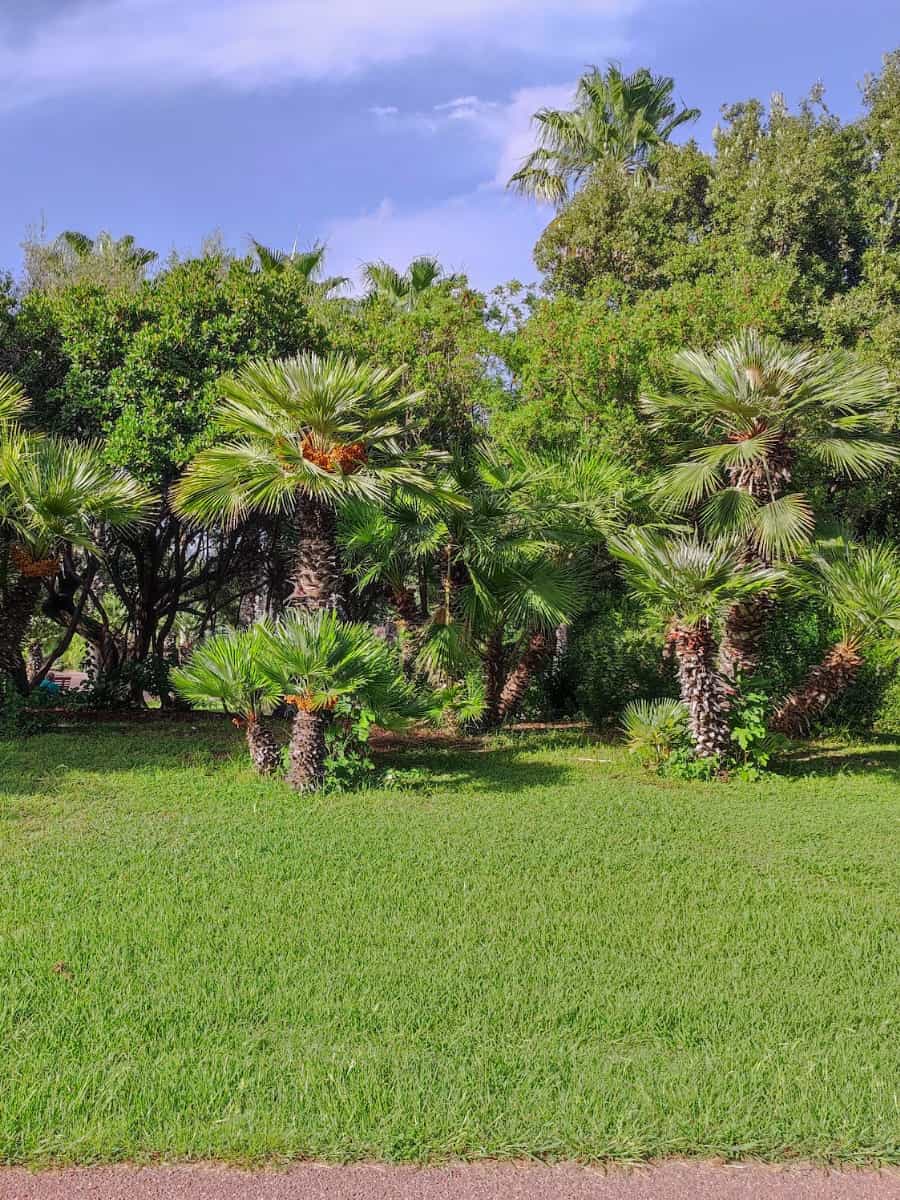 Parco Fausto Noce,  Olbia Parco Fausto Noce, Olbia