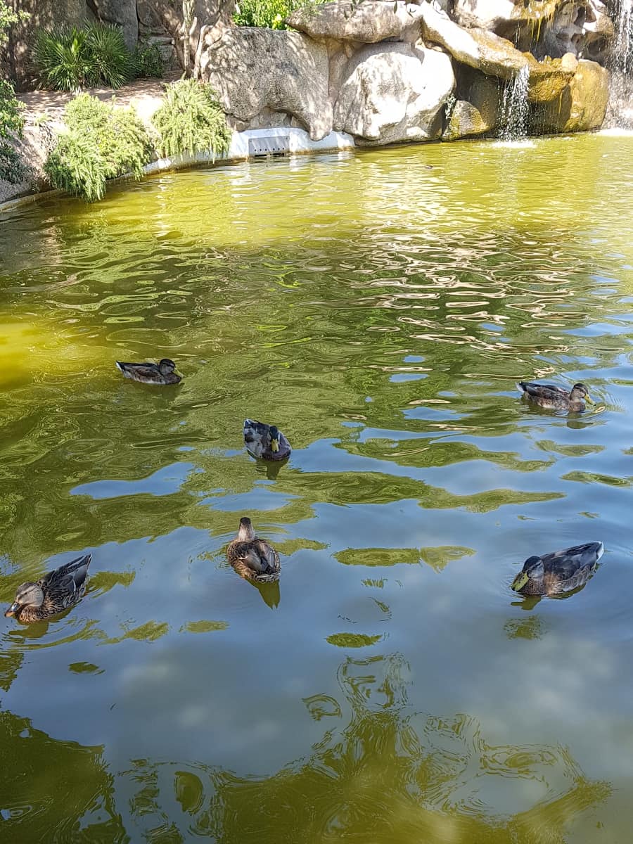 Parco Fausto Noce,  Olbia Parco Fausto Noce, Olbia