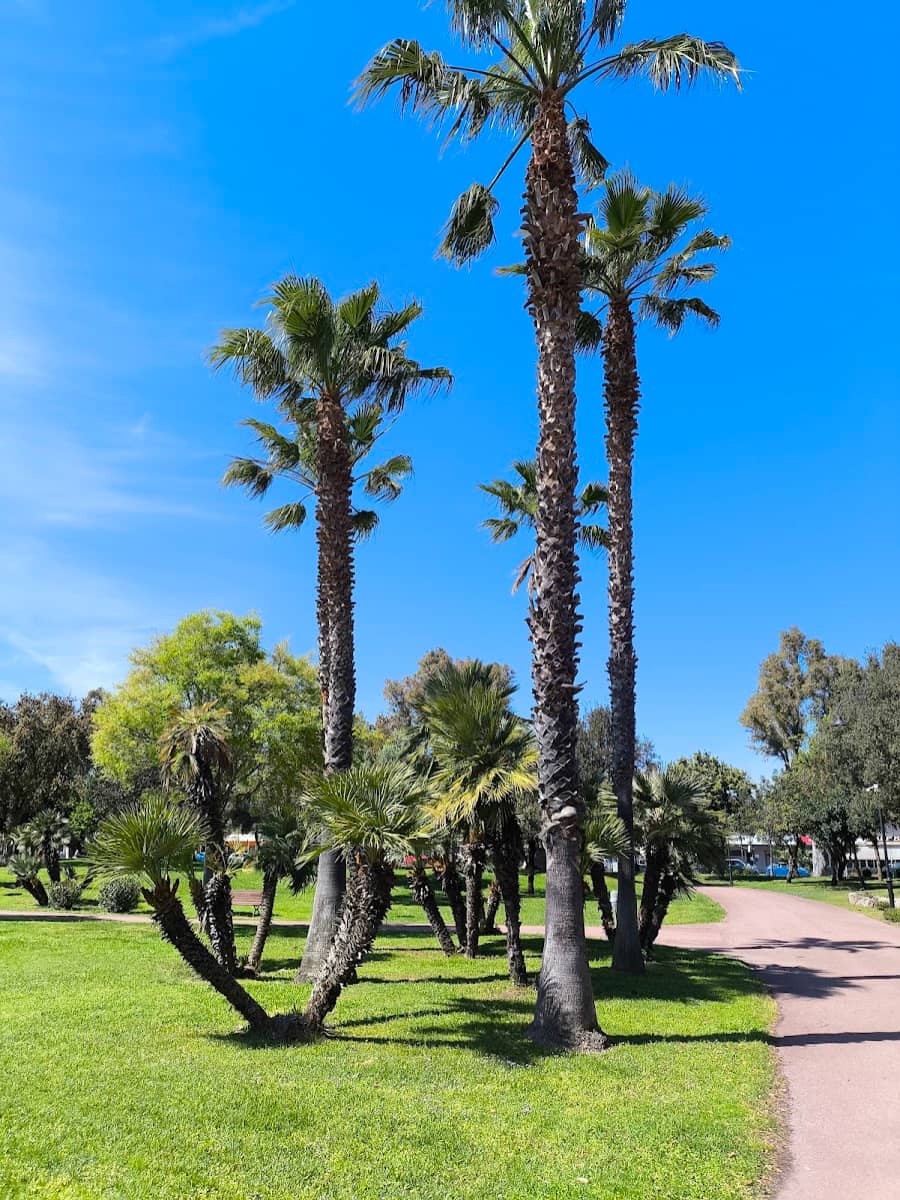Parco Fausto Noce,  Olbia Parco Fausto Noce, Olbia